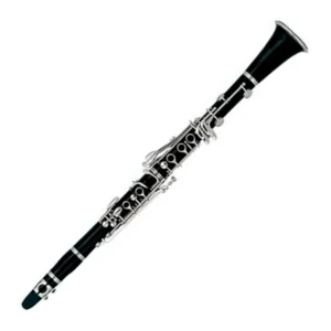 RISETONE - JBCL-510 - Clarinete en Bb | 17 Llaves de Baquelita