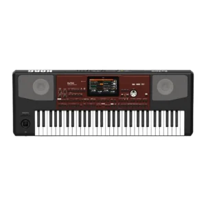 KORG PA-700 – ARRANGER PROFESIONAL 61 TECLAS 128MB