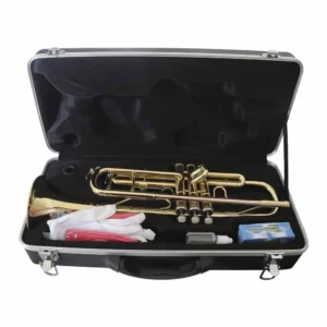 SAITO - ST-TRU1YB- Trompeta en Bb - Yellow Brass con Acabado Lacado Dorado - Imagen 3