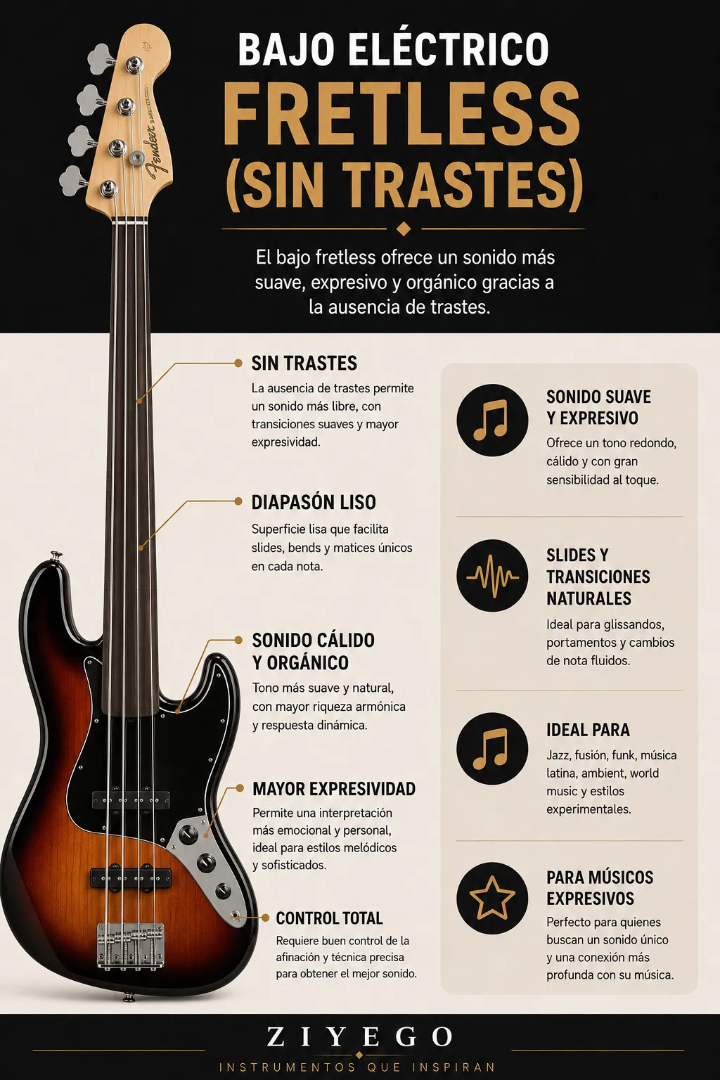 Bajo Fretless Bajo Fretless