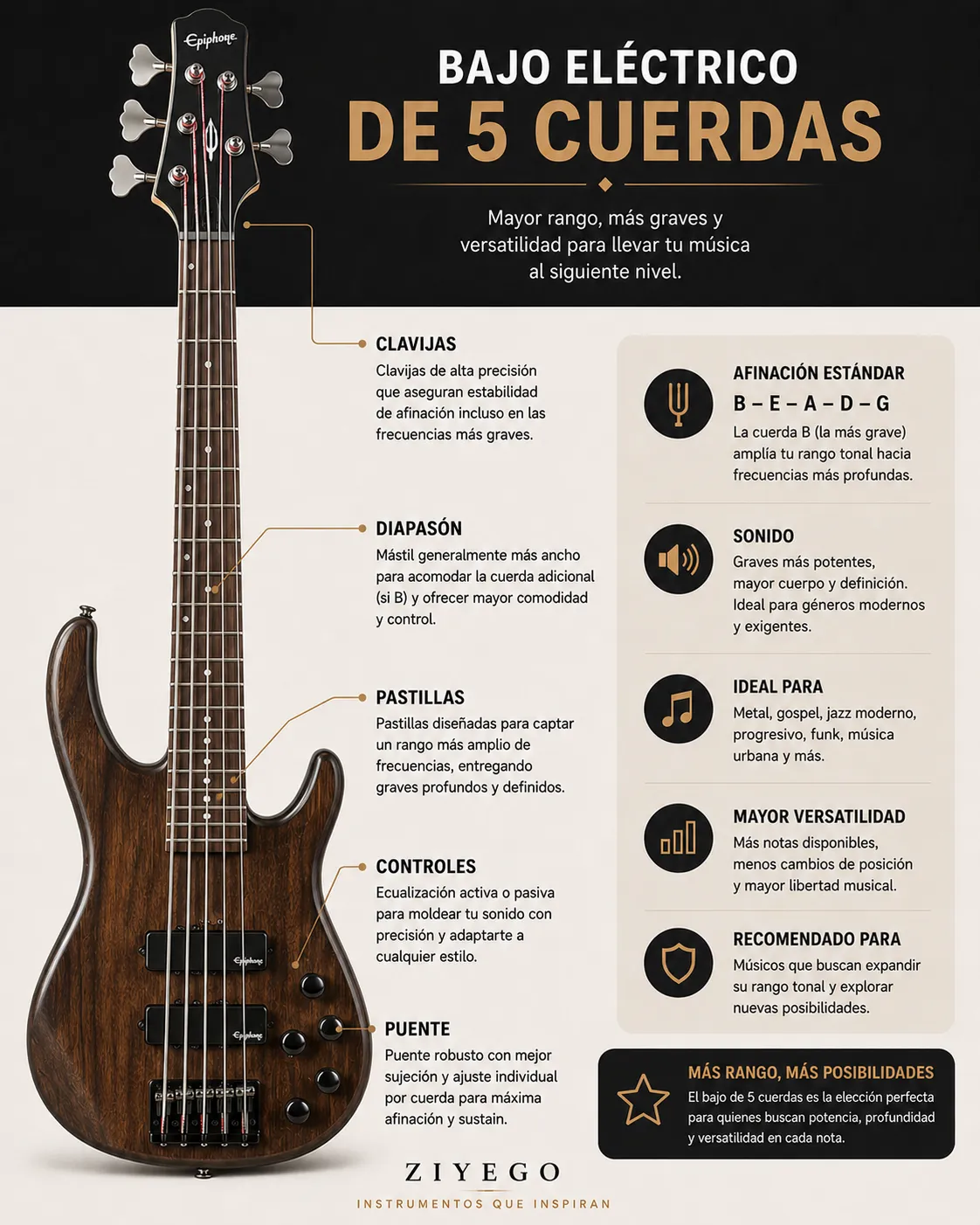 Bajo de 5 cuerdas Bajo de 5 cuerdas