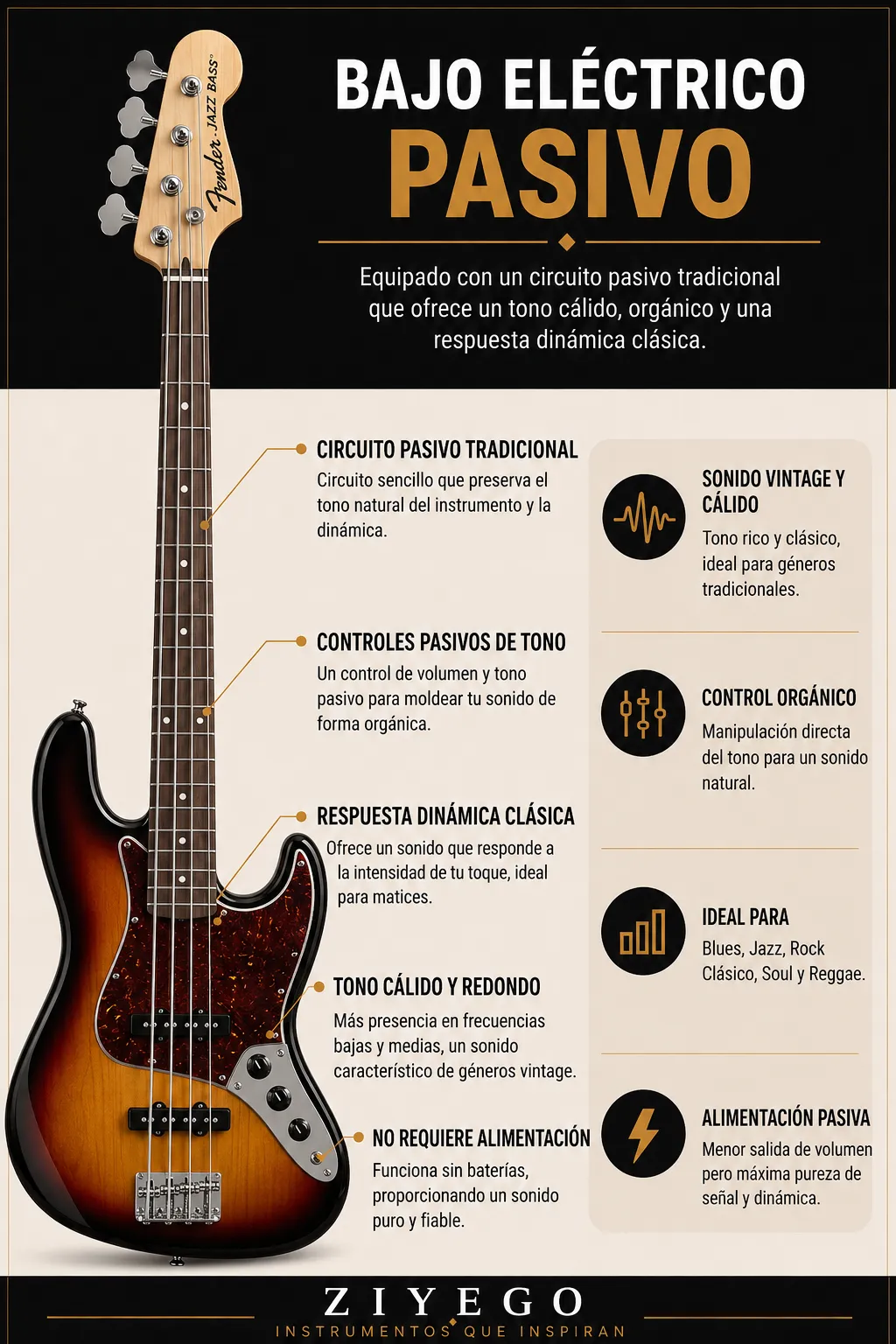 Bajo pasivo Bajo pasivo